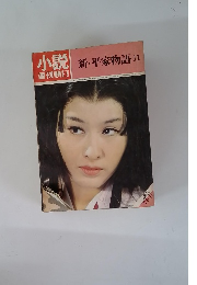 小説週刊朝日　新・平家物語11