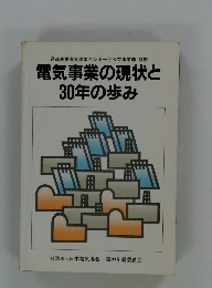 電気事業の現状と30年の歩み