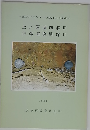 上ノ原遺跡群 3 伊藤田窯跡群 2