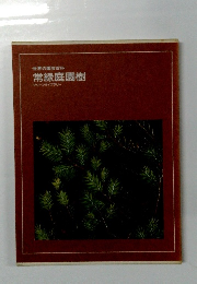 世界の園芸科 常緑庭園樹