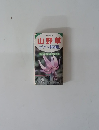 山野草　ポケット図鑑