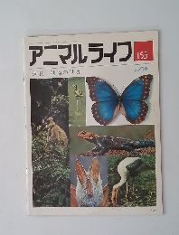 アニマルライフ　155　週刊 動物の世界