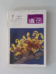 生物の科学 遺伝　Vol. 31 No. 2　1977年2月