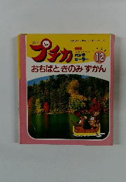 プチカ　1995　12