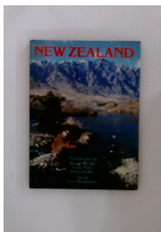 New Zealand by Errol Brathwaite