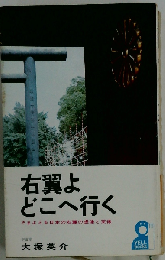 右翼よどこへ行く　さまよえる日本の右翼の虚像と実像