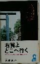 右翼よどこへ行く　さまよえる日本の右翼の虚像と実像