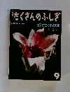 たくさんのふしぎ　地下にさくなぞの花　2000.9