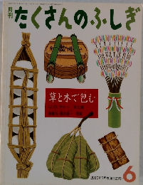たくさんのふしぎ　2000年　6月