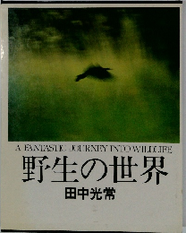 野生の世界