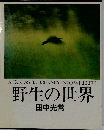 野生の世界