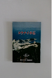 コウナイの石