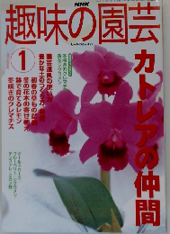 趣味の園芸　2002年1月号