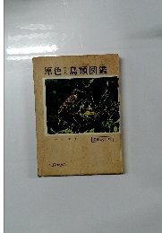原色日本鳥類図鑑　