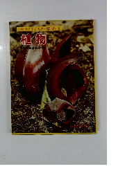 図鑑 わたしたちの科学科 5　食物