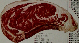 COOK料理全集 肉の料理　1