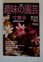 趣味の園芸　2004年3月号