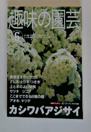 NHK趣味の園芸 2001年6月号
