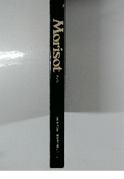 Morisot　世界美術全集 印象派の画家たち 6