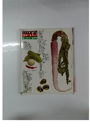 COOK料理全集10　漬けものと保存食