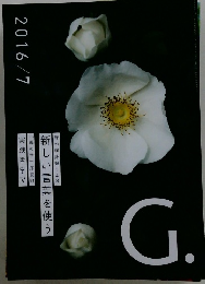 新しい言葉を使う　実践哲学IV　G.  2016年7月