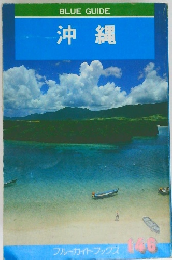 沖縄　フルーガイドフックス146