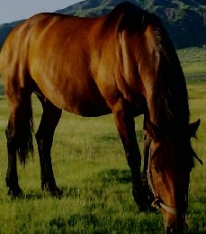 G.　2025年8月号 条件を超える