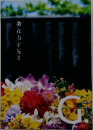 G　2017年8月　潜在力を見る