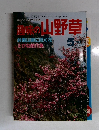 趣味の山野草　1986年5月号　No.70