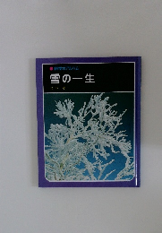 雪の一生
