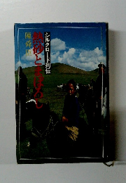 熱砂とまぼろし　シルクロード列伝