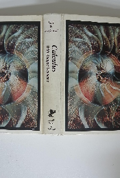 Calculus　With Analytic Geometry