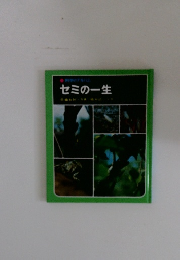 ● 科学のアルバム セミの一生