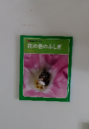 花の色のふしぎ