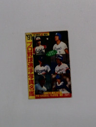 1991年プロ野球選手写真名鑑