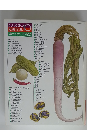 料理全集10 漬けものと保存食