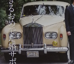 The PROFESSIONAL WEDDING 2018年2-3月号