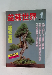 盆栽世界　1983年1月号
