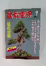 盆栽世界　1983年1月号