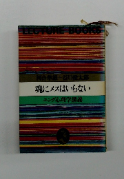 魂にメスはいらない ユング心理学講義