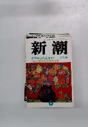 新潮　6