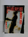 芸術新潮　1993年5月