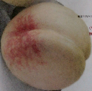 季刊 みづゑ 1985年秋号