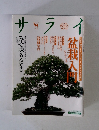 サライ　2009年2月19日号