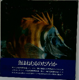 魚はねむるのだろうか