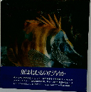 魚はねむるのだろうか