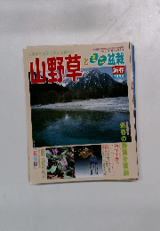 まいと暮らし 山野草 2002年春号