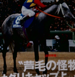 優駿 2010年 09月号 [雑誌]