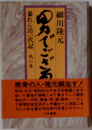 男でござる―暴れん坊一代記 風の巻