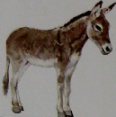 こどものための百科18